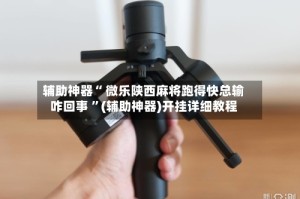 辅助神器“ 微乐陕西麻将跑得快总输咋回事 ”(辅助神器)开挂详细教程