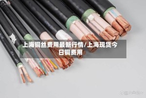 上海铜丝费用最新行情/上海现货今日铜费用