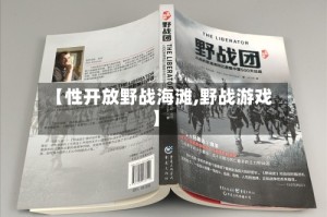 【性开放野战海滩,野战游戏】