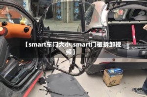 【smart车门大小,smart门板拆卸视频】