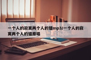 一个人的寂寞两个人的错mp3/一个人的寂寞两个人的错原唱