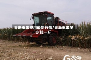 青岛玉米费用最新行情/青岛玉米多少钱一斤