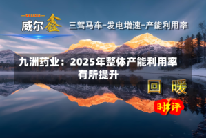 九洲药业：2025年整体产能利用率有所提升