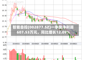 智能自控(002877.SZ)一季度净利润607.53万元，同比增长12.09%