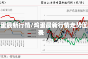 鸡蛋最新行情/鸡蛋最新行情走势图表