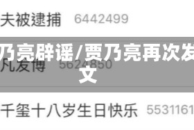 贾乃亮辟谣/贾乃亮再次发文