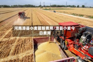 河南滑县小麦最新费用/滑县小麦今日费用