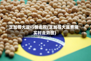 芝加哥大豆行情走视(芝加哥大豆费用实时走势图)