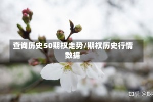 查询历史50期权走势/期权历史行情数据
