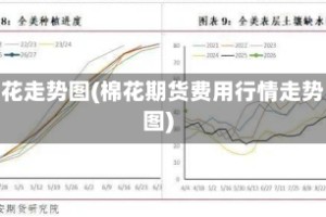 棉花走势图(棉花期货费用行情走势图)