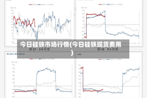 今日硅铁市场行情(今日硅铁现货费用)