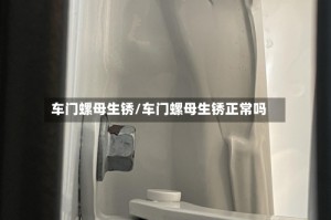 车门螺母生锈/车门螺母生锈正常吗