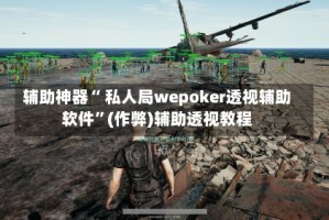辅助神器“ 私人局wepoker透视辅助软件”(作弊)辅助透视教程