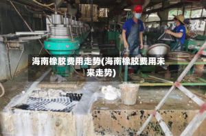 海南橡胶费用走势(海南橡胶费用未来走势)