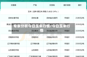 专家分析今日玉米行情/今日玉米行惰
