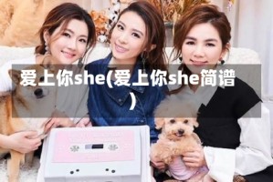 爱上你she(爱上你she简谱)