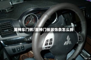 翼神车门拆/翼神门板装饰条怎么拆