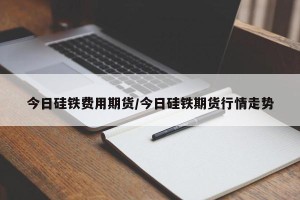 今日硅铁费用期货/今日硅铁期货行情走势