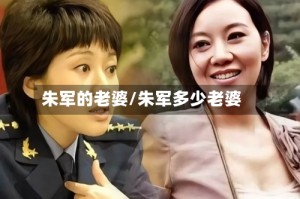 朱军的老婆/朱军多少老婆