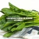 【各种菜籽图片和费用行情,各种蔬菜种子和图片】