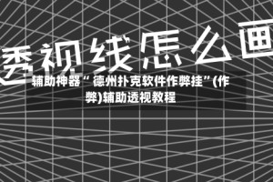 辅助神器“ 德州扑克软件作弊挂”(作弊)辅助透视教程