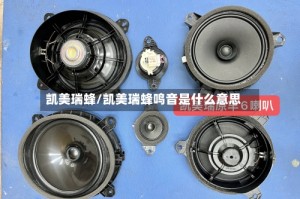 凯美瑞蜂/凯美瑞蜂鸣音是什么意思