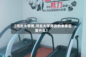 【河北大学旁,河北大学旁边的未来石是什么】