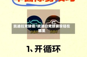 凯迪拉克除霜/凯迪拉克除雾按钮在哪里