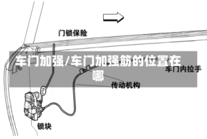车门加强/车门加强筋的位置在哪