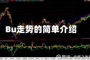 Bu走势的简单介绍