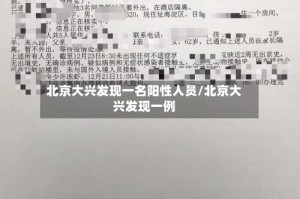 北京大兴发现一名阳性人员/北京大兴发现一例