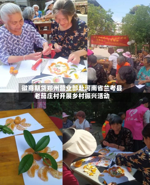 徽商期货郑州营业部赴河南省兰考县老茄庄村开展乡村振兴活动-第1张图片