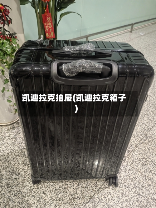 凯迪拉克抽屉(凯迪拉克箱子)-第1张图片