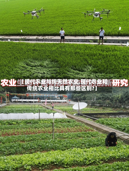 【现代农业与纯天然农业,现代农业和传统农业相比具有那些区别?】-第1张图片