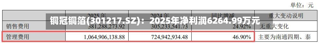 铜冠铜箔(301217.SZ)：2025年净利润6264.99万元-第1张图片