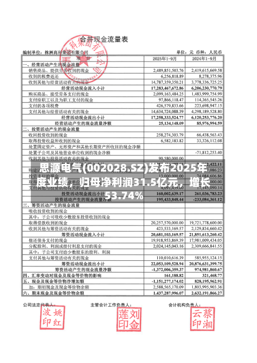 思源电气(002028.SZ)发布2025年度业绩，归母净利润31.5亿元，增长53.74%-第1张图片
