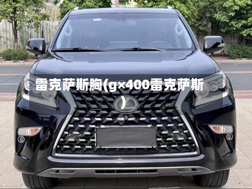 雷克萨斯胸(g×400雷克萨斯)-第1张图片