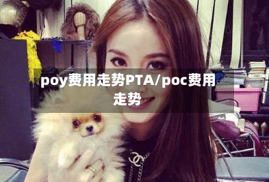 poy费用走势PTA/poc费用走势-第3张图片