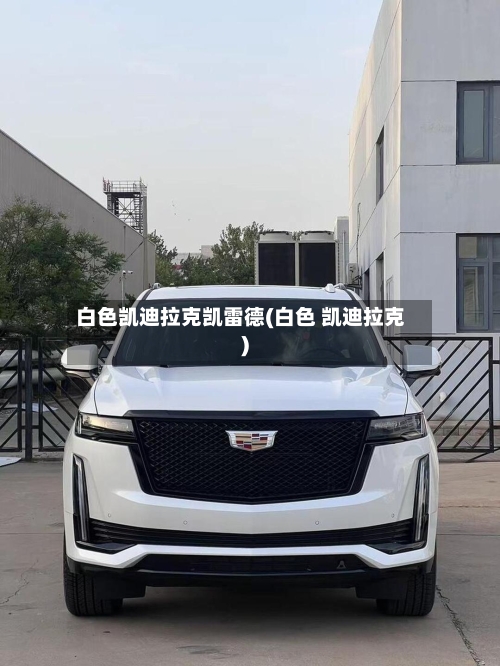 白色凯迪拉克凯雷德(白色 凯迪拉克)-第3张图片