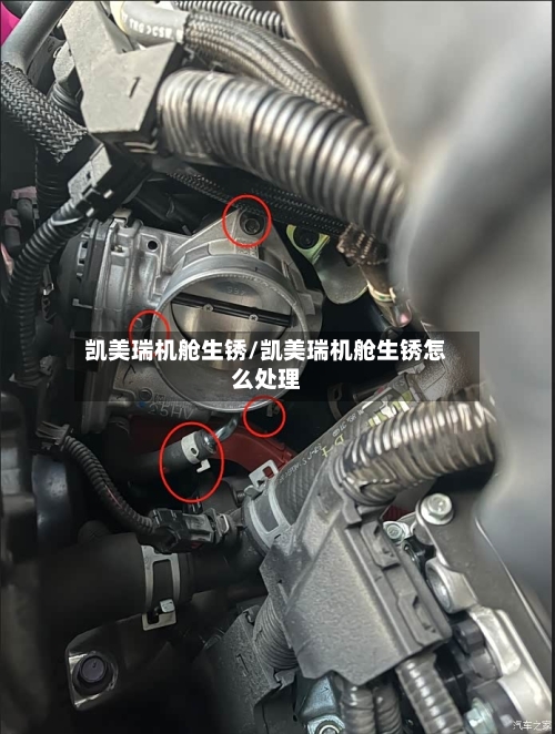 凯美瑞机舱生锈/凯美瑞机舱生锈怎么处理-第3张图片