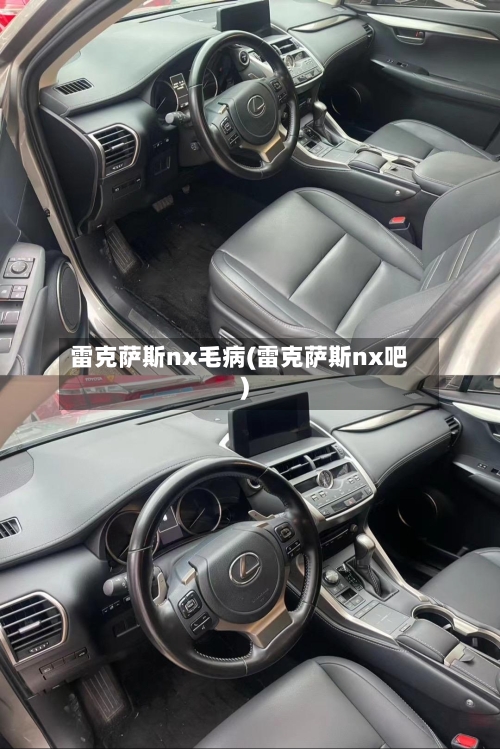 雷克萨斯nx毛病(雷克萨斯nx吧)-第2张图片