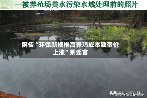 网传“环保新规推高养鸡成本致蛋价上涨”系谣言-第3张图片