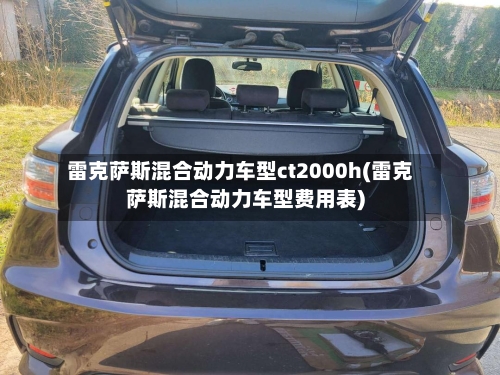 雷克萨斯混合动力车型ct2000h(雷克萨斯混合动力车型费用表)-第1张图片