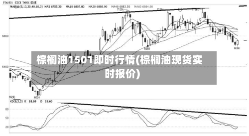 棕榈油1501即时行情(棕榈油现货实时报价)-第1张图片