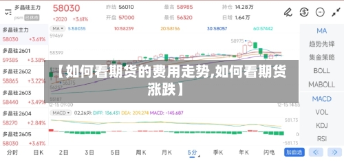 【如何看期货的费用走势,如何看期货涨跌】-第2张图片