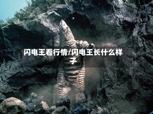 闪电王看行情/闪电王长什么样子-第1张图片