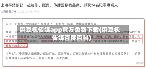 麻豆视传媒app官方免费下载(麻豆视传媒百度百科)-第3张图片