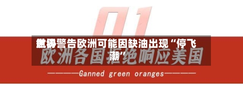 世界航协警告欧洲可能因缺油出现“停飞潮	”-第1张图片