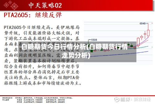 白糖期货今日行情分析(白糖期货行情走势分析)-第1张图片