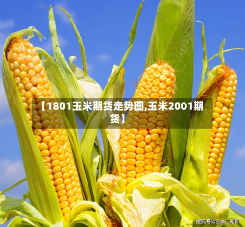 【1801玉米期货走势图,玉米2001期货】-第1张图片
